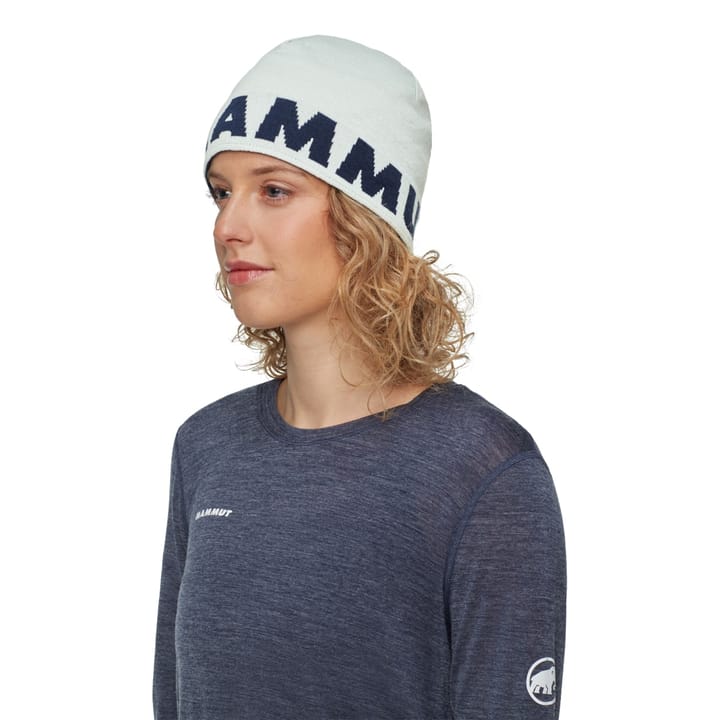 Mammut Mammut Logo Beanie Silver Sage-marine Mammut