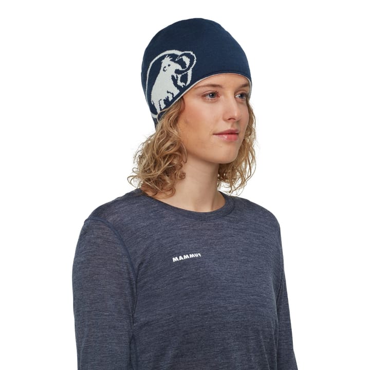 Mammut Mammut Logo Beanie Silver Sage-marine Mammut