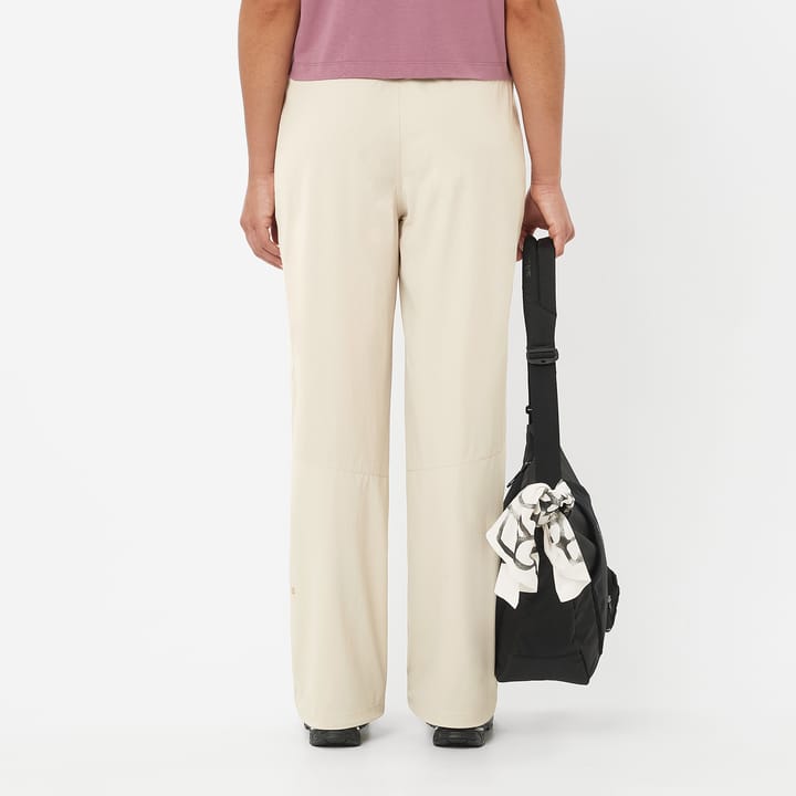 Salomon Wayfarer Ease 2.0 Pants W Silver Cloud/ Salomon