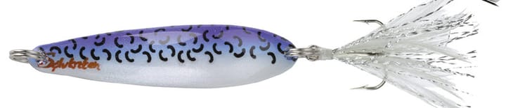 Sølvkroken Morild Seatrout Sølvkroken