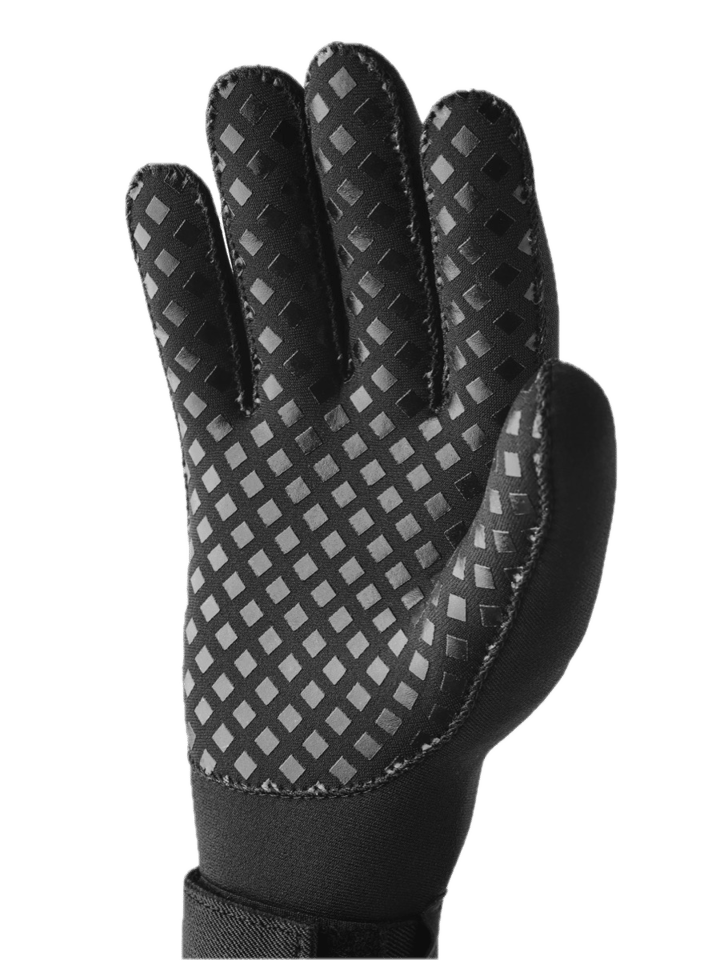 Hestra Neptune - 5 Finger Black Hestra