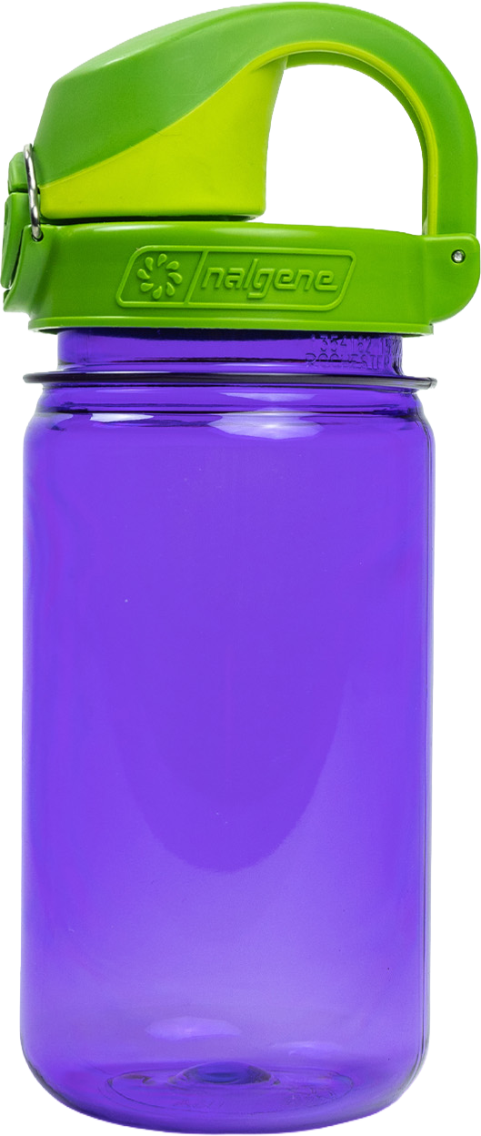 Purple iguana