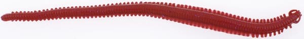 Berkley Gashpne6-By Ga Hlfp Nereis 6 Bloody Berkley Berkley Gashpne6-By Ga Hlfp Nereis 6 Bloody Berkley