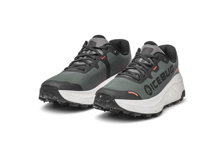 Icebug Women's Arcus 2 BUGrip GORE-TEX Grey Icebug