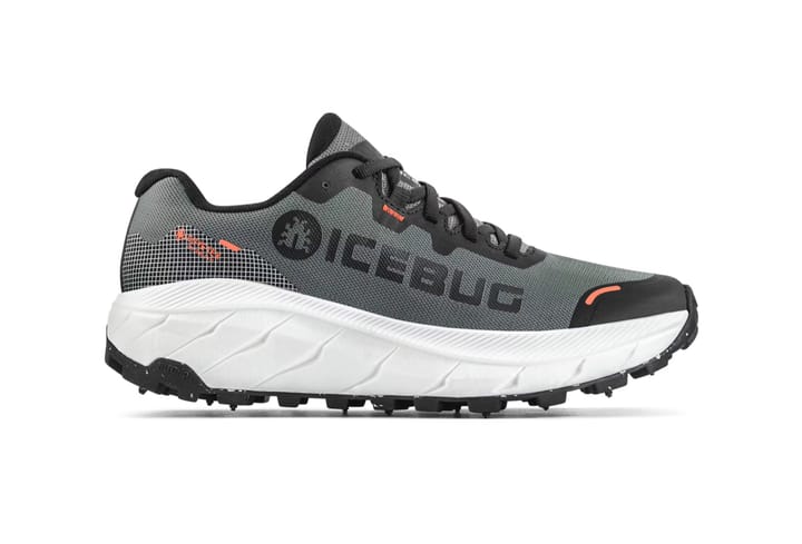 Icebug Women's Arcus 2 BUGrip GORE-TEX Grey Icebug