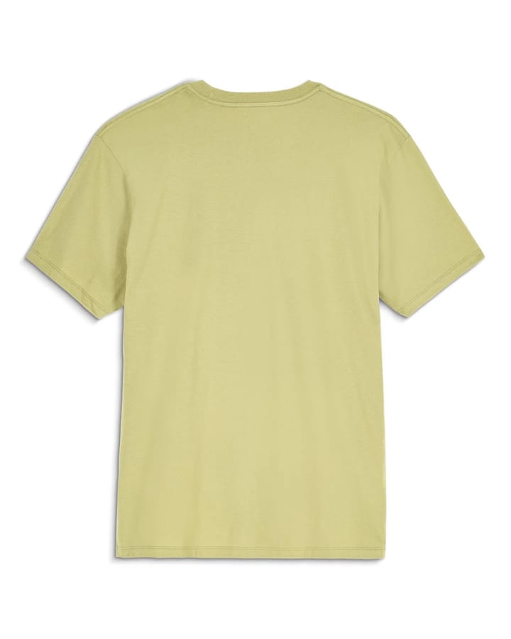 Simms Trout Outline T-Shirt Tent Green Simms