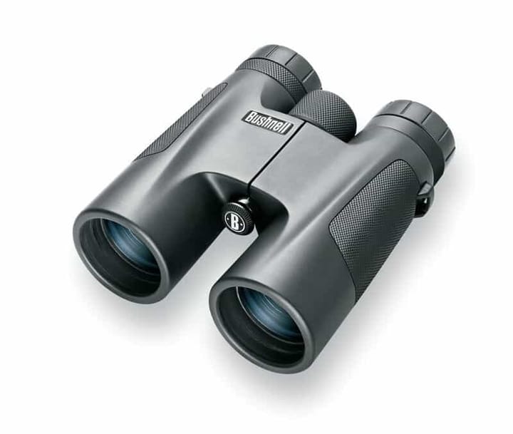 Bushnell Powerview 10x42 Bushnell