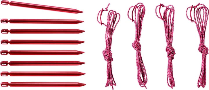 MSR Hubba Hubba LT 2p Green MSR