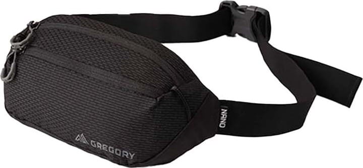 Gregory Unisex Nano Waistpack Mini Optic Black