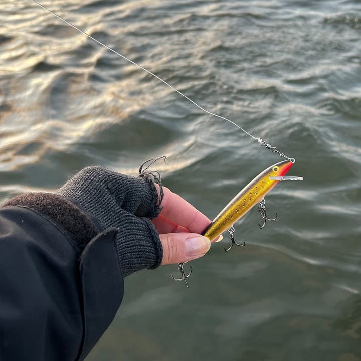 Rapala 90 Years Lure Kit Floater Big Naturistic Rapala