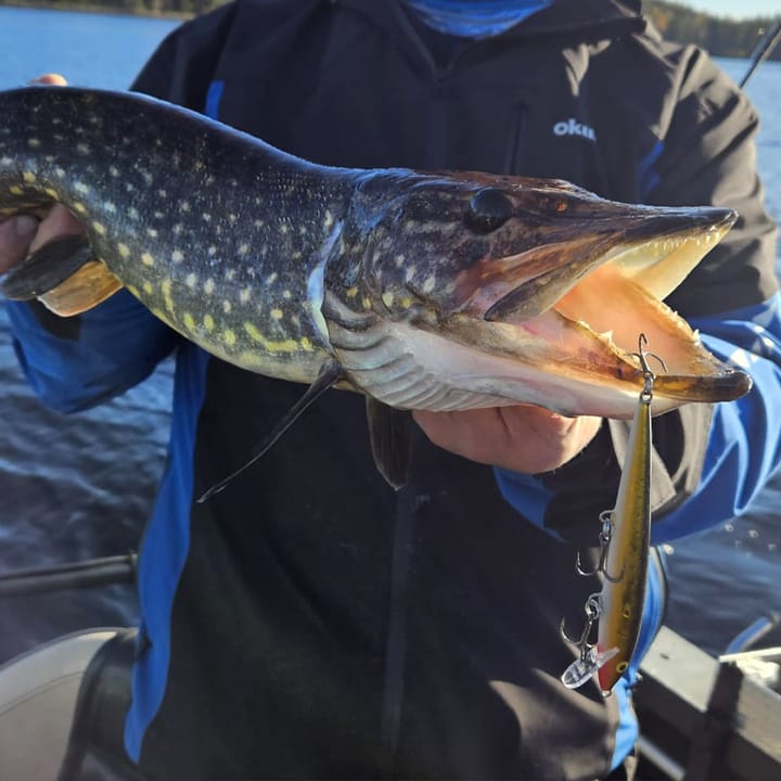 Rapala 90 Years Lure Kit Floater Big Naturistic Rapala