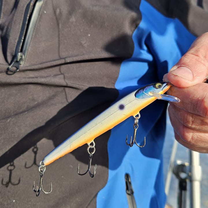 Rapala 90 Years Lure Kit Floater Big Naturistic Rapala