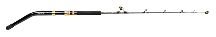 Penn Squall II 50-100lb 6ft Roller Su Bb Penn