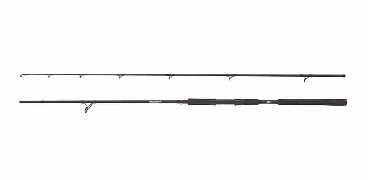 Abu Garcia Beast Pike 842xh 30-110g Spinning Abu Garcia