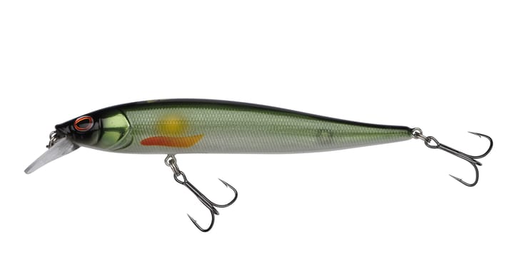 Berkley Dex Stunna 100 Berkley