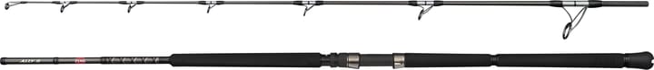Penn Ally II Offshore Casting Rod Penn