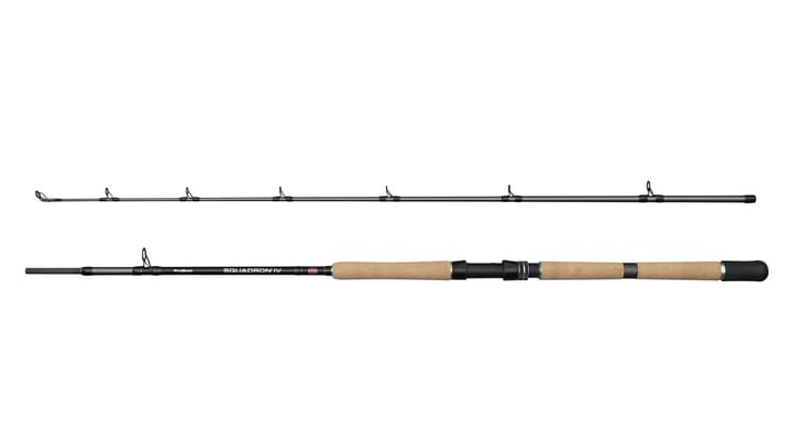 Penn Squadron IV Pro Boat Spin Penn