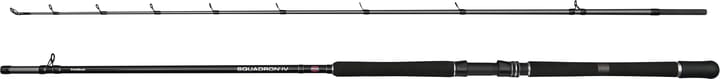 Penn Squadron Iv Halibut Cast Penn