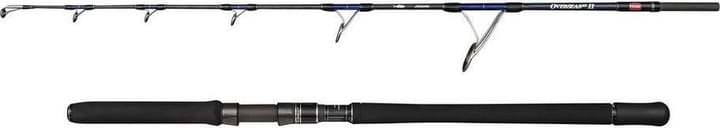 Penn Overseas Xt Ii Jigging Penn