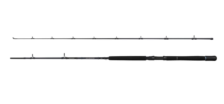 Savage Gear Salmonoid Sg2 Trolling Savage Gear