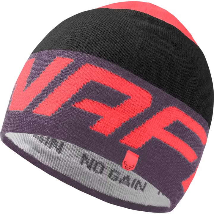 Dynafit Radical Beanie Ephemera/0910 Dynafit