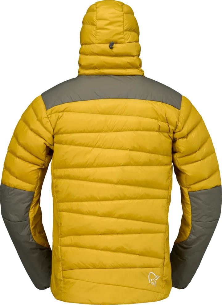 Norrøna Men's Falketind Down750 Hood Golden Palm Norrøna