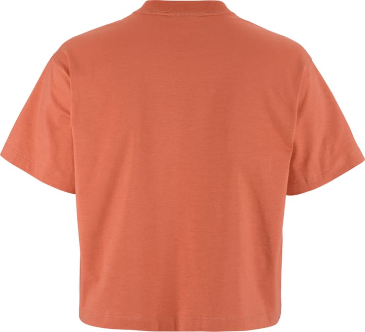 Craft Women's Collective Relaxed Ss Tee Sequoia Craft