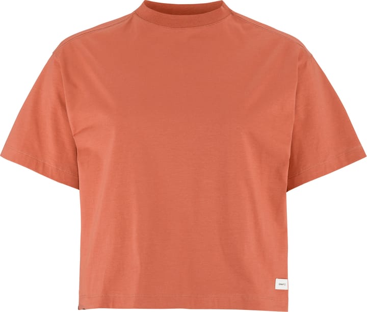 Craft Women's Collective Relaxed Ss Tee Sequoia Craft
