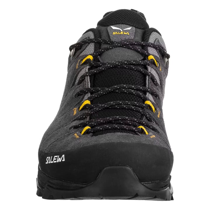Salewa Men's Alp Trainer 2 Gore-Tex Onyx/Black Salewa