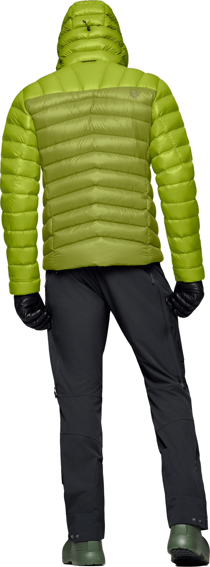 Norrøna Men's Lyngen Down850 Hood Dark Citron/tender Shoots Norrøna