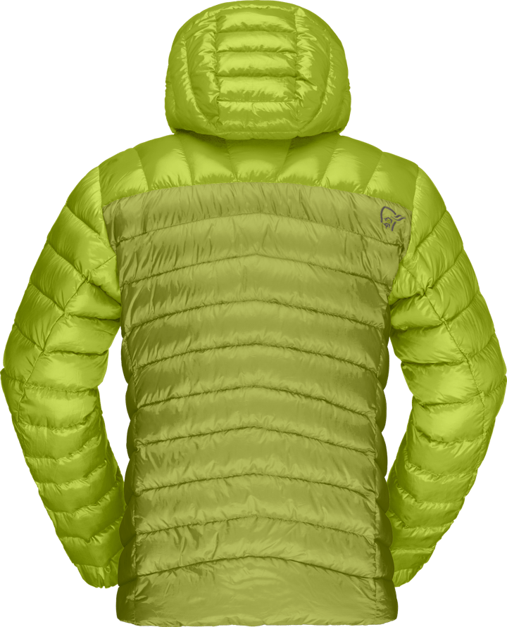 Norrøna Men's Lyngen Down850 Hood Dark Citron/tender Shoots Norrøna