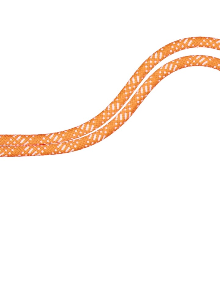 Mammut 10.1 Gym Station Classic Rope Classic Standard, Safety Orange-White 200 m Mammut