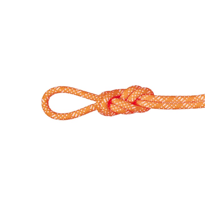 Mammut 10.1 Gym Station Classic Rope Classic Standard, Safety Orange-White 200 m Mammut