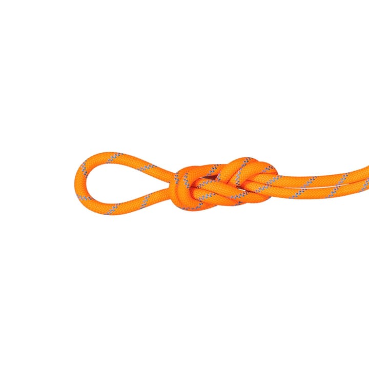 Mammut 8.7 Alpine Sender Dry Rope Dry Standard, vibrant orange-ocean Mammut