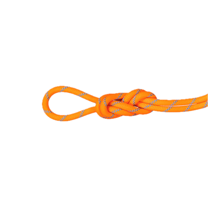 Mammut 8.7 Alpine Sender Dry Rope Dry Standard Mammut