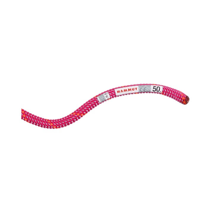 Mammut 9.5 Crag Dry Rope Dry Standard/Pink/Zen Mammut