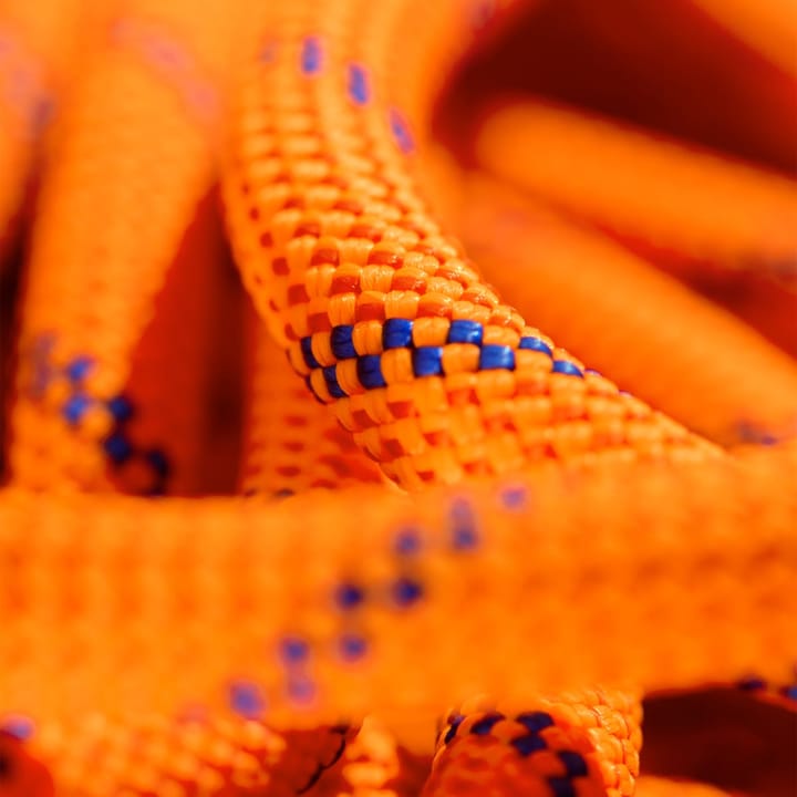 Mammut 7.5 Alpine Sender Dry Rope Dry Standard/Fire/Blue Mammut Mammut 7.5 Alpine Sender Dry Rope Dry Standard/Fire/Blue Mammut