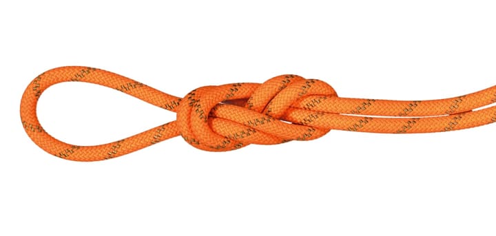 Mammut 8.0 Alpine Dry Rope Dry Standard, 50m Safety Orange-Boa Mammut