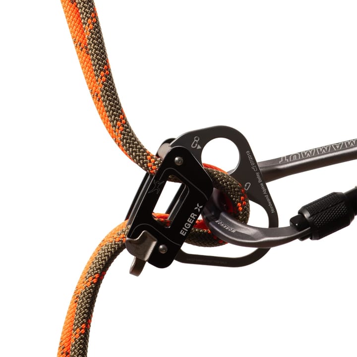 Mammut 8.0 Alpine Dry Rope Dry Standard, 50m Safety Orange-Boa Mammut