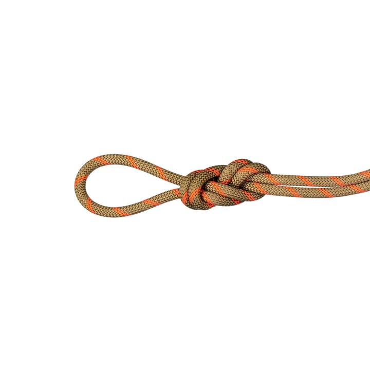 Mammut 8.0 Alpine Dry Rope Dry Standard, Boa-Safety Orange 30 m Mammut