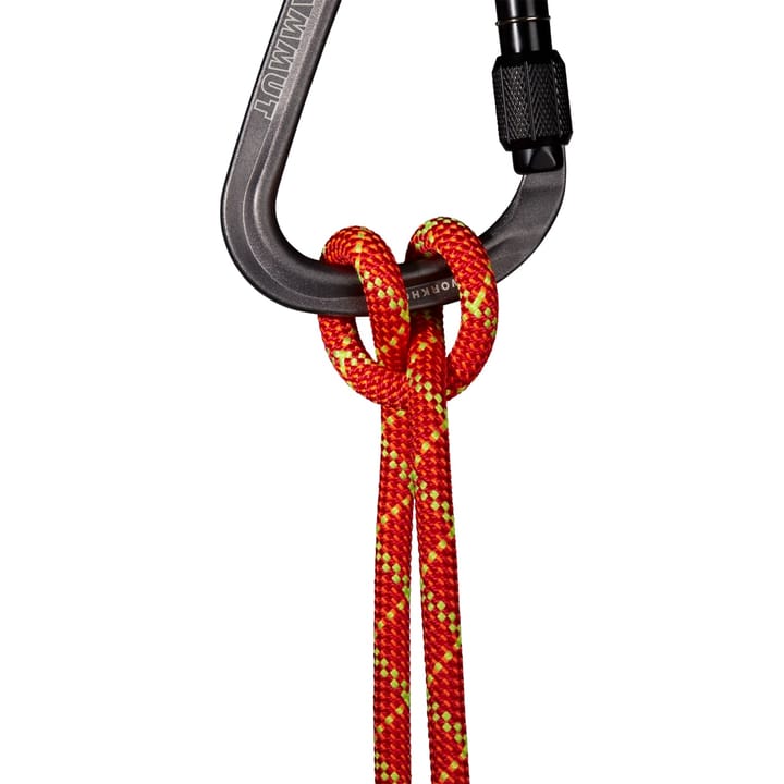 Mammut 8.0 Alpine Core Protect Dry Rope 40m Fire-halo Mammut