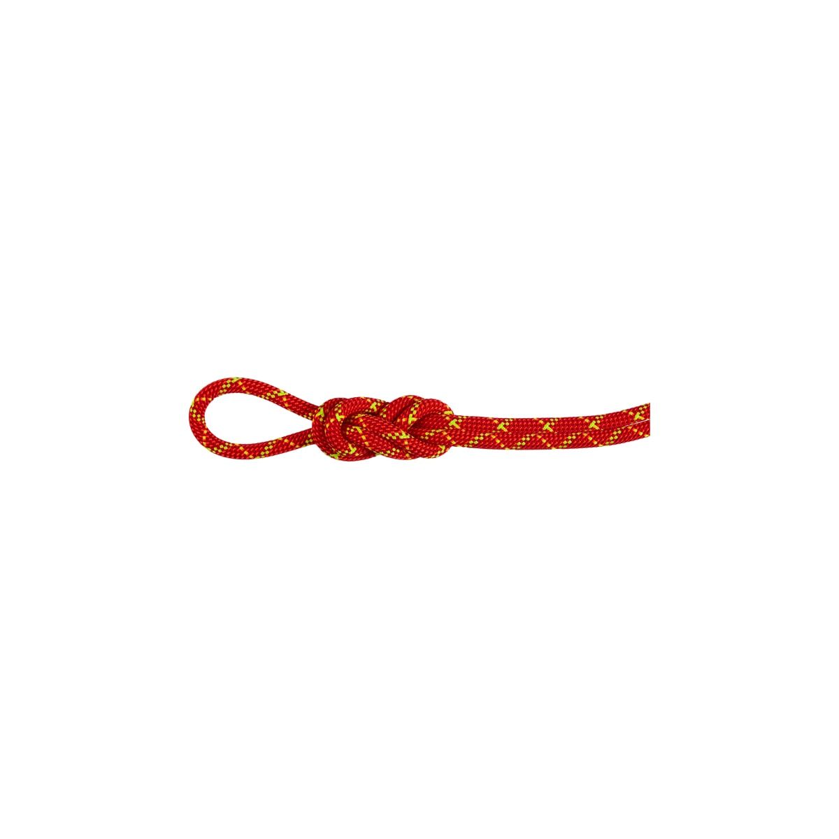 Mammut 8.0 Alpine Core Protect Dry Rope 40m Fire-halo