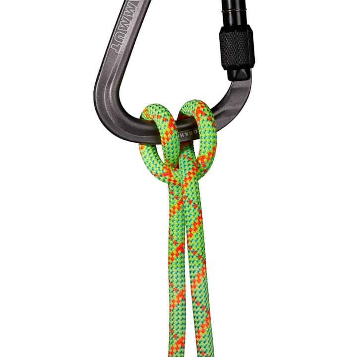 Mammut 8.0 Alpine Core Protect Dry Rope 50m Halo-vibrant Orange Mammut