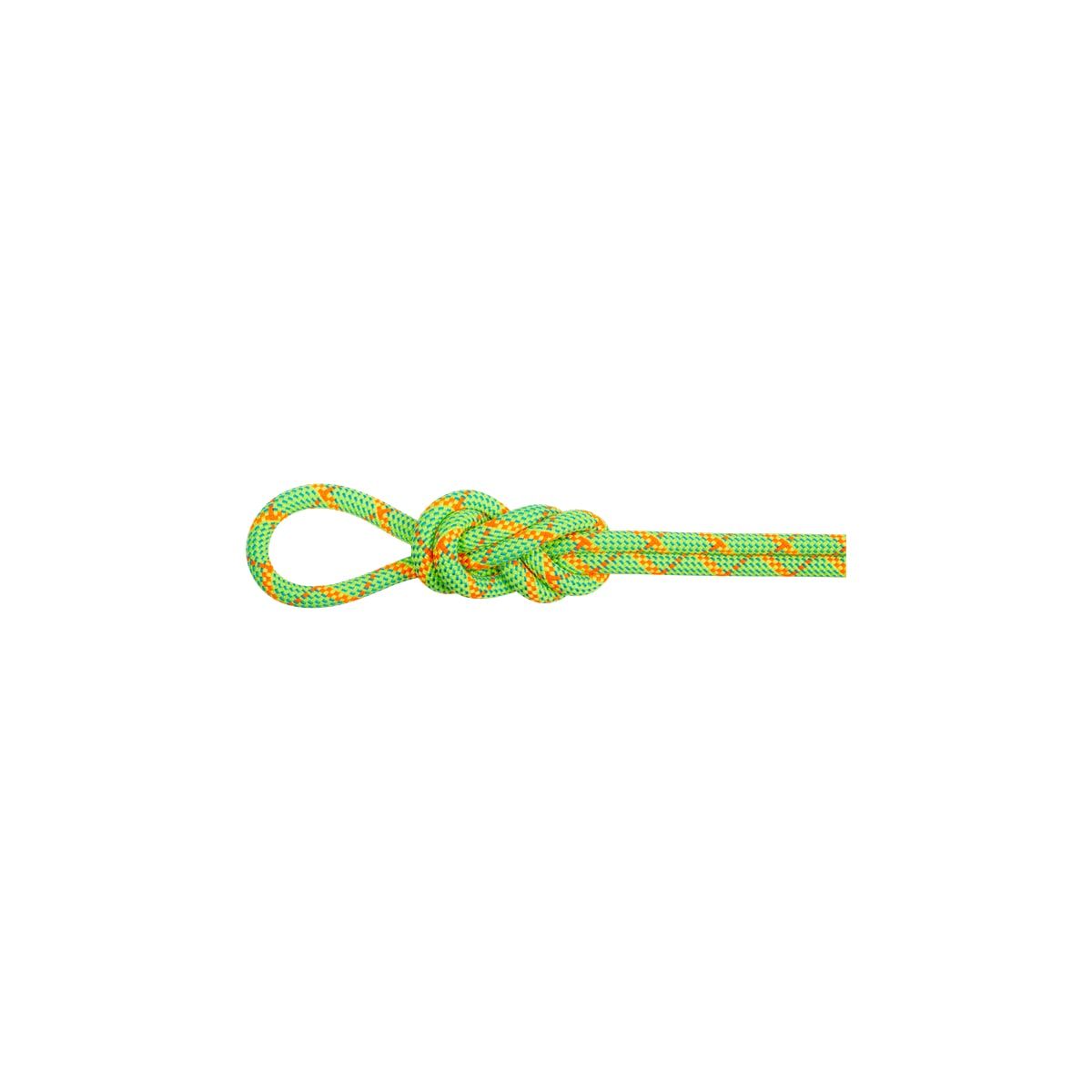 Mammut 8.0 Alpine Core Protect Dry Rope 50m Halo-vibrant Orange