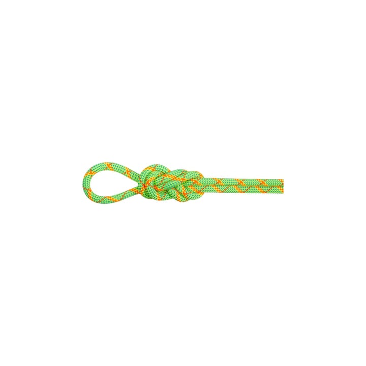 Mammut 8.0 Alpine Core Protect Dry Rope 50m Halo-vibrant Orange Mammut