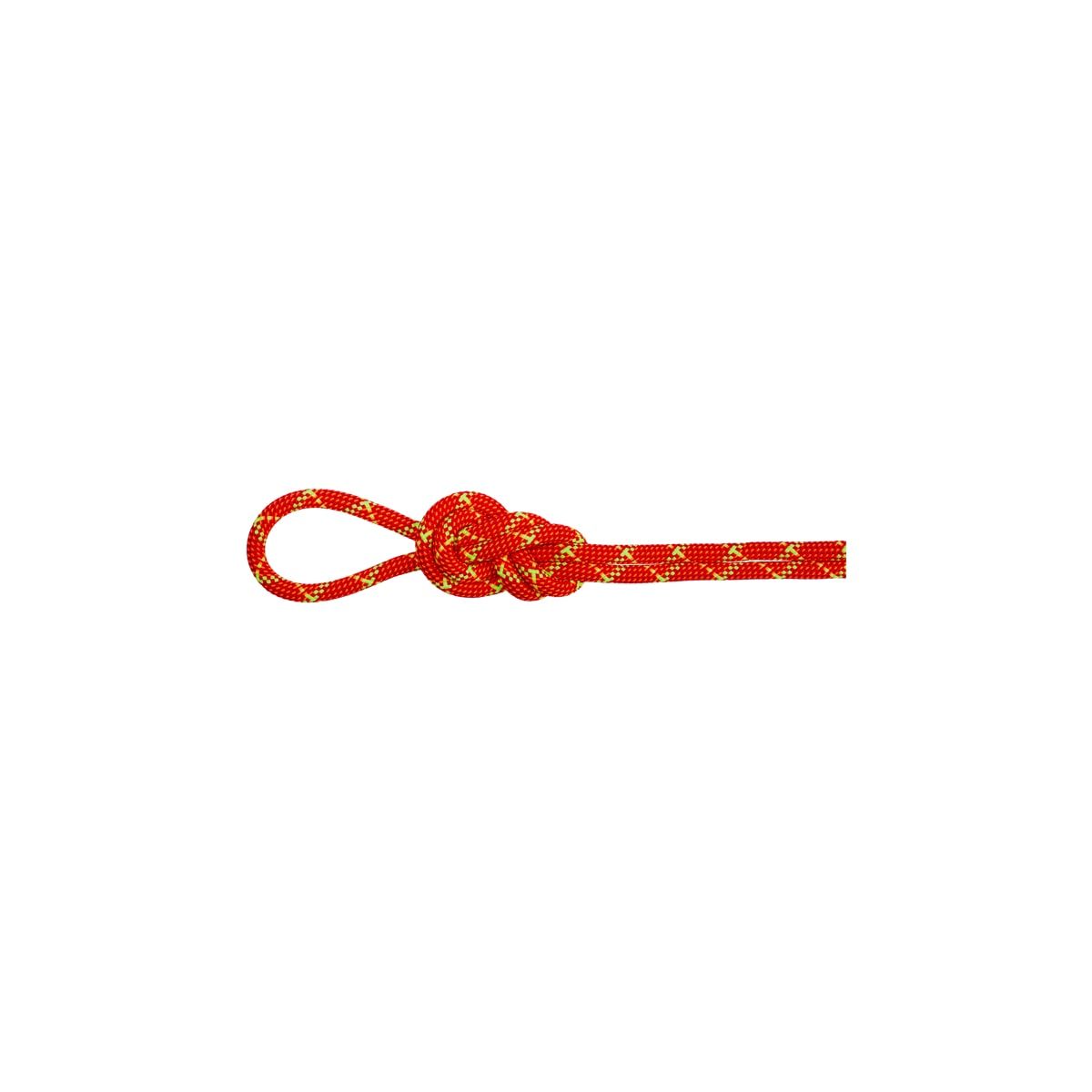 Mammut 8.0 Alpine Core Protect Dry Rope 50m Fire-halo
