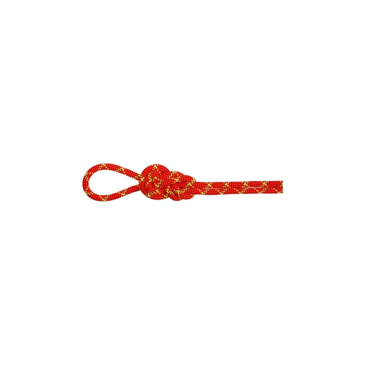 Mammut 8.0 Alpine Core Protect Dry Rope 50m Fire-halo Mammut