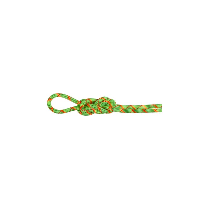 Mammut 8.0 Alpine Core Protect Dry Rope 60m Halo-vibrant Orange Mammut
