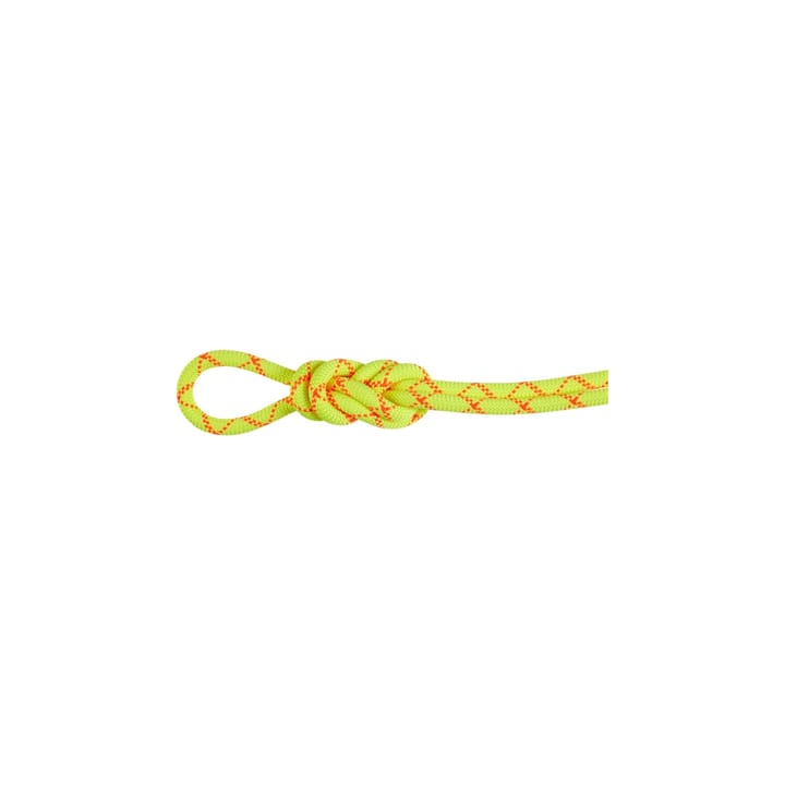 Mammut 9.5 Alpine Core Protect Dry Rope 70m Halo-vibrant Orange Mammut