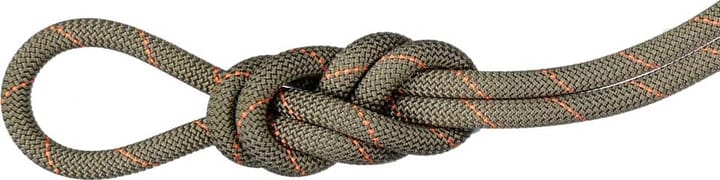 Mammut 9.9 Gym Workhorse Classic Rope 40m Boa Mammut